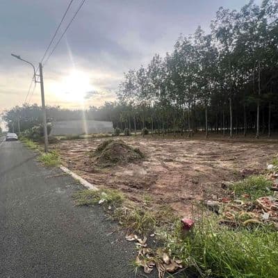 Đất nền hoà lợi