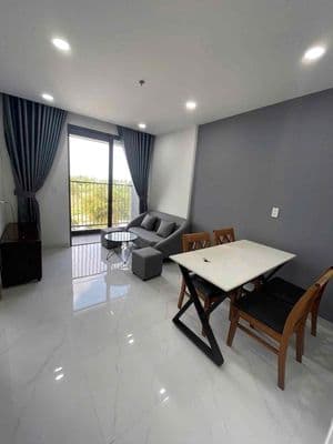 Cần cho thuê căn 2pn full nội thất phú mỹ c2