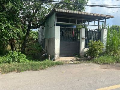 Bán đất 160m2 giá 700 triệu đường nhựa Trung Lập xã Thái Mỹ TP.HCM SHR