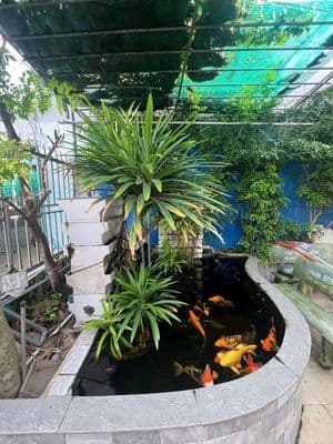 Hàng ngọp Biệt thự Mini dt 10x15 Đ6m lý thường kiệt thị trấn HM 3ty750
