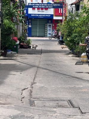 Cho thuê nhà siêu đẹp 4 lầu đường gò dầu . hẻm 7 m thông 4 x 20