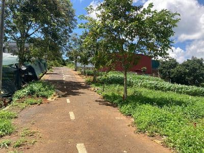Đất thổ cư 178.4m2 cách QL20 800m