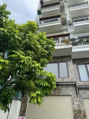 chuyển nhượng nhà làm văn phòng hoặc ở