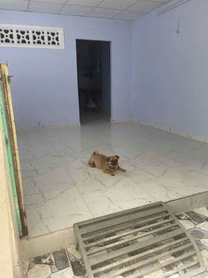 Chính chủ bán nhà gần q1