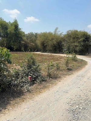 Cần bán đất Bàu Công. Tân Mỹ , 517m2 full thổ cư