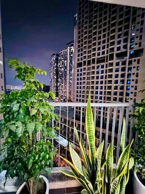 Bán căn hộ chung cư Kđt Golden place 120m, 3 ngủ, full nội thất