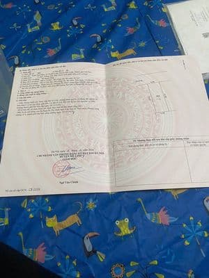 Bán đất thổ cư thôn Phú Hữu - xã Tiến Thắng