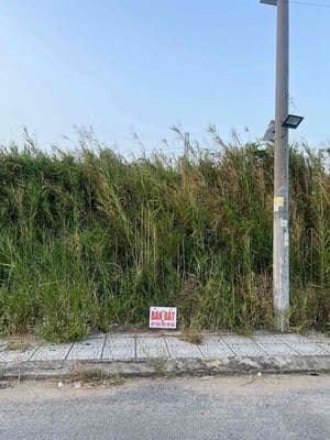 Bán đất phường tân hạnh, tỉnh vĩnh long