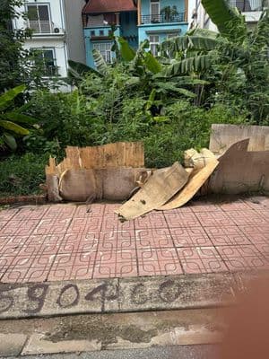 chủ bán đất để vào miền nam với con trai