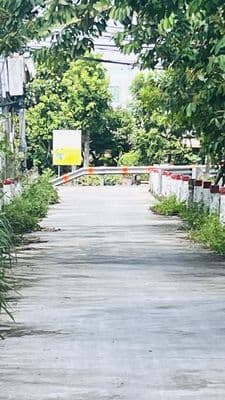 Đất Mặt Tiền 16x61m –972m² Chỉ 8 Tỷ, Phù Hợp Làm Xưởng & Biệt Thự Vườn
