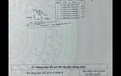 Đất chính chủ xây dựng tự do