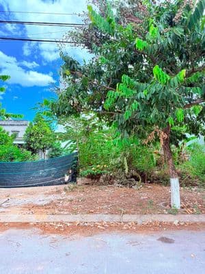 Bán đất Bầu Cầu 25 view công viên đường 7,5m Hoà Xuân Đà Nẵng giá rẻ