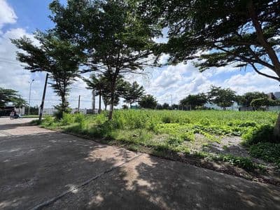 Nền mặt tiền nguyễn văn cừ