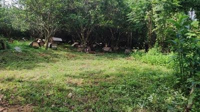 Bán đất Ba Vì - Hà Nội, 5ha, view núi