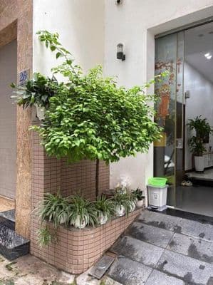 Cho thuê nhà nguyên căn 55m2 Lê Trọng Tấn, Thanh Xuân