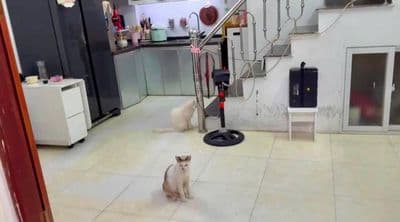 Cho thuê nhà 32m2 Hai Bà Trưng, 4 tầng, đủ nội thất