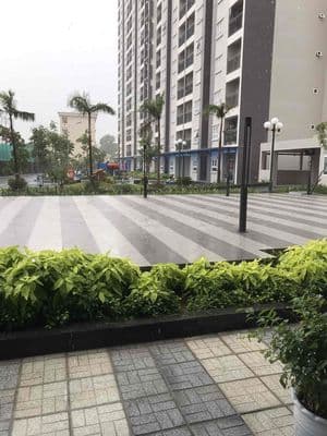 chung cư lamer 1 tầng trệt