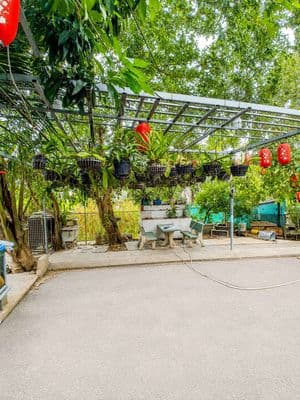 Đất nền SHR 1/Xuân Thới Thượng 32-Hóc Môn.Dt 10x31~308m2~8,3ty