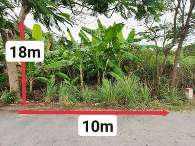 đất bình chánh