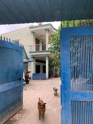 cần bán 236,2m2 đất thổ cư không dính quy hoạch