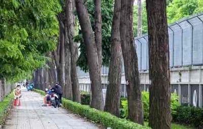 cho thuê kho hoặc văn phòng ngang 9m mặt tiền Quang Trung giá 5tr