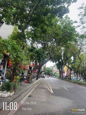 Chủ thở oxy bán nhà mặt phố lê hồng phong,ba đình-lô góc-mặt tiền rộng