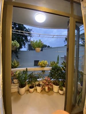 Bán gấp chung cư quận 5 trung tâm