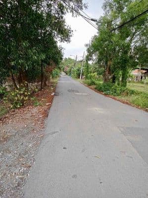 Bán Đất Nền Đường Xóm Hố Tân Kiên Củ( Tân Nhựt Mới) Bình Chánh
