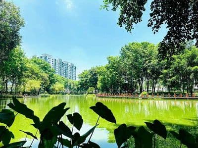 Bán căn hộ 2pn 1wc dt 73m2 cc celadon city tân phú