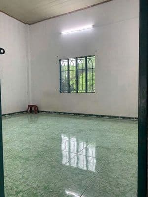 cho thue nhà nguyên căn