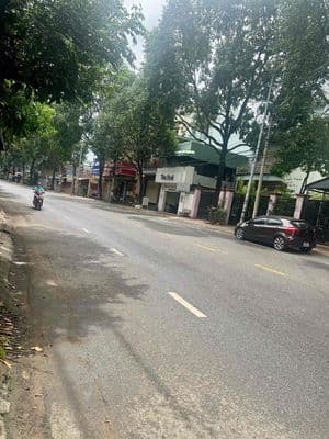 kinh doanh hoac ở