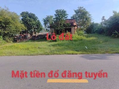 Bán đất MT Đỗ Đăng Tuyển, Củ Chi, TP.HCM - 1132m2 thổ cư