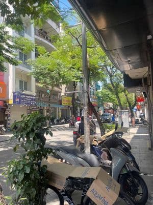 Chính chủ bán nhà phố Ba Đình Tây Hồ, 56m2, mới đẹp thoáng, 7.1 tỷ