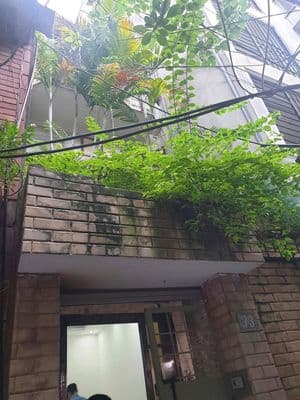 Cho thuê nhà nguyên căn Yên Lãng, Đống Đa, 50m², 3PN, 14 triệu