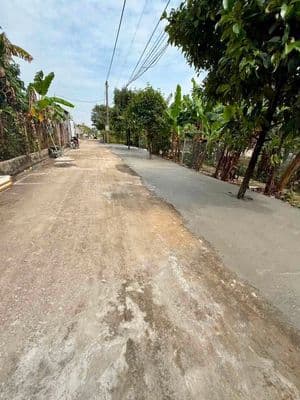 Bán đất đường Bình Nhâm 30, Lái Thiêu, TP. HCM
