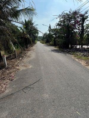 Bán Nhà Vườn An Điền, Bến Cát Cũ - 5 Tỷ