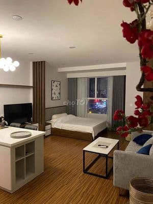 Cho thuê chính chủ căn 1p chung cư sunrise cityview quận 7 giá rẻ
