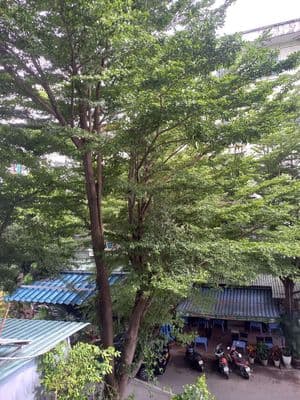Căn hộ k 26 dương quảng hàm p7 gò vấp. căn góc