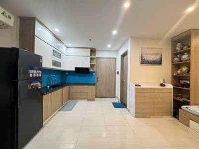 Bán gấp căn 1N+ 47m2 full nội thất 2,65 tỷ tại vinhomes ocean park GL
