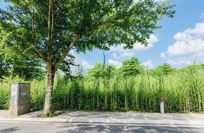 Bán đất 82,5m2, ngang 6m-nguyễn binh-giá 3,6tỷ