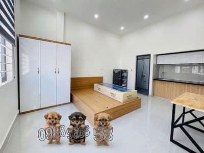 Căn hộ thang bộ l3 ở ngay giảm mạnh
