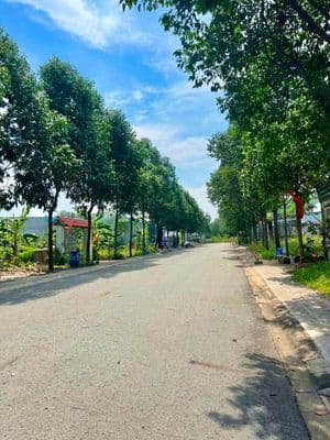 Bán đất 150m2 đường N7, Mỹ Phước 4, Bình Dương giá 1 tỷ
