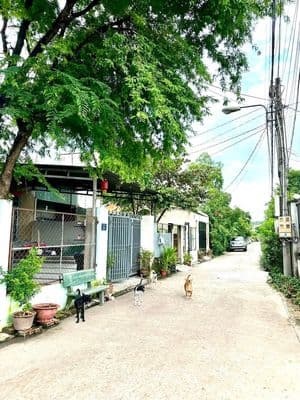 Bán Đất Tân An, Thủ Dầu Một, Giá 1.35 Tỷ