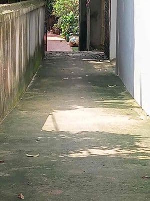 Chính chủ bán 52m đất Thanh Trì, sổ đỏ, đầu tư siêu lời