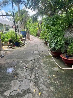 Nhà trọ 6 căn cần bán