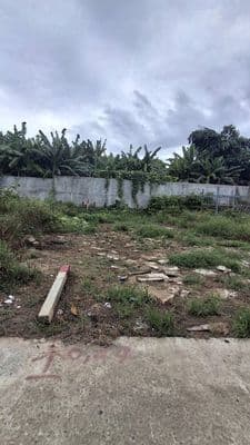 Lô đất 78m2 trần đình nam - gần kđt phước lý - đà nẵng, 2ty600 (tl)