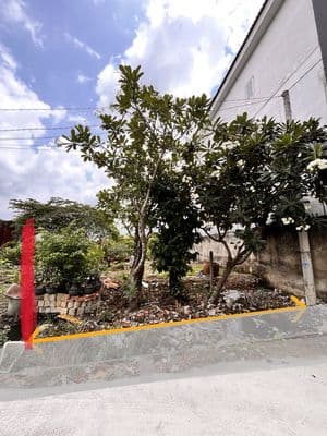 Bán đất giá tốt hẻm 154, Vườn Lài, P An Phú Đông