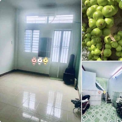 Nhà xinh, yên tĩnh, sân xe, 1 trệt 1 lầu, 2p. ngủ ở và đi làm ok
