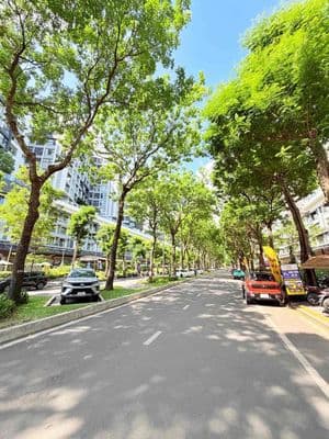 bán lô đất 4.5 x 17 m 4 tỷ oto ngủ tại đất gpxd 7 tầng