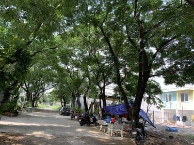 Cho thuê nhà nguyên căn ( cách ngã tư Bình Phước 2 km)